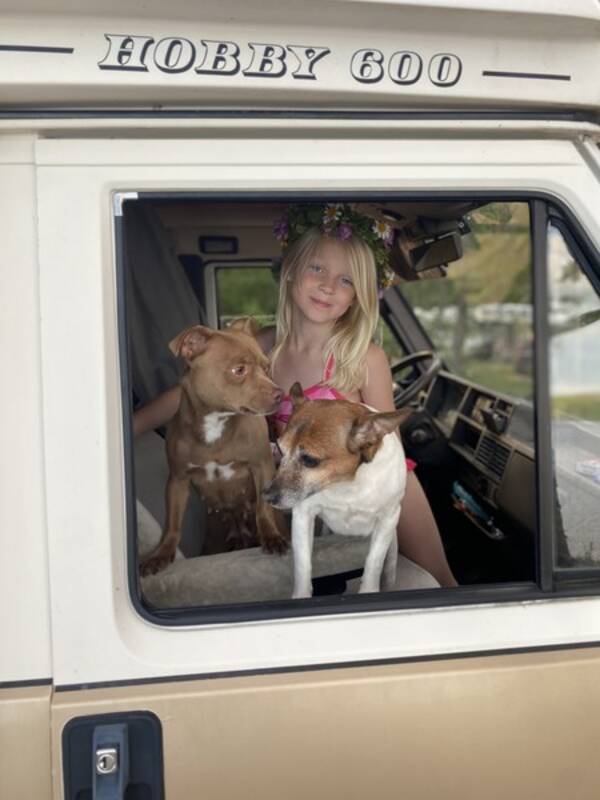 Hund - Mina hundar Peps & Zoey 