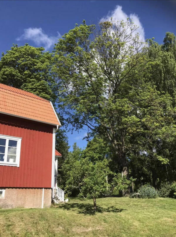 Hus - Sommar vid huset 