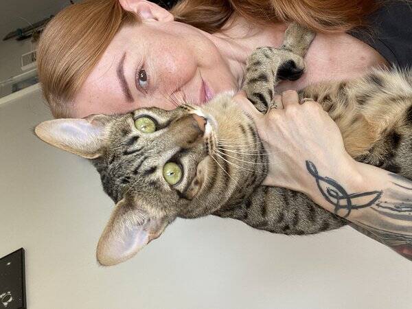 Katt