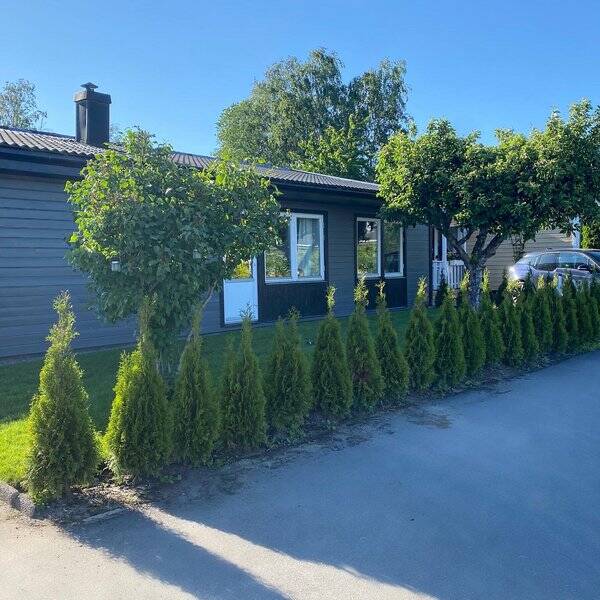 Hus