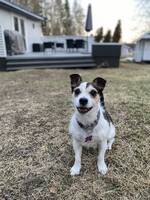 Blanding, Diesel Blanding, Diesel