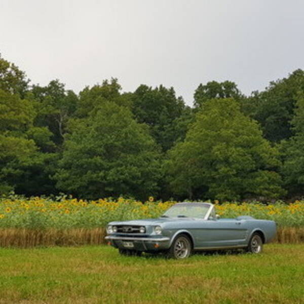 Fordon - Ford Mustang