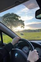 Peagot 307  Peagot 307