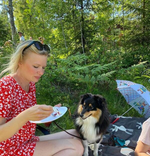 Hund - Shetland sheepdog, Pixi