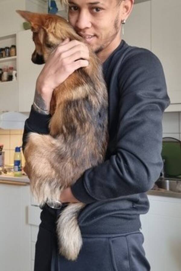 Hund - Glada Doris