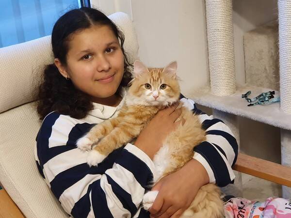 Katt - Darya och Amur Katt - Darya och Amur