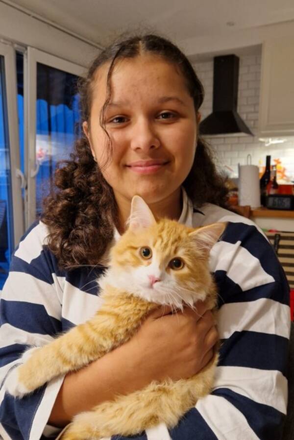 Katt - Darya och Mira Katt - Darya och Mira