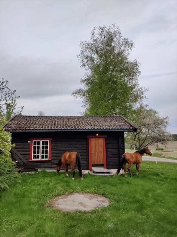 Hytte - Vi kaller den Veslestua.  