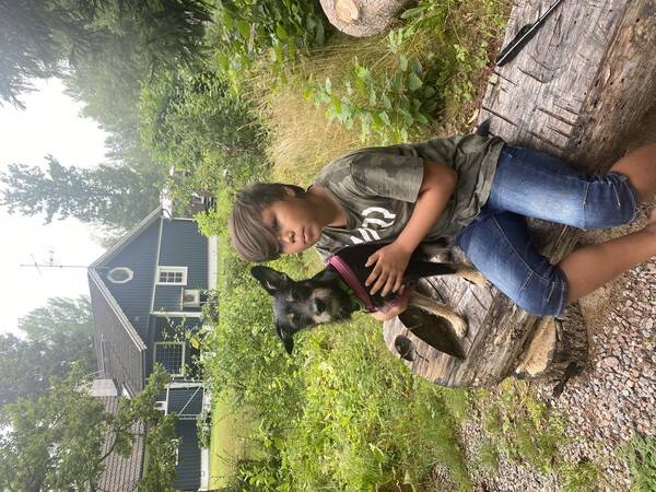 Hund - Vera 2 r