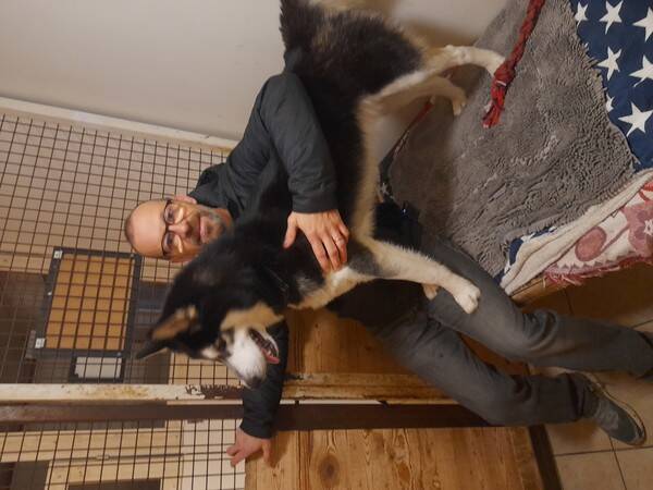Hund