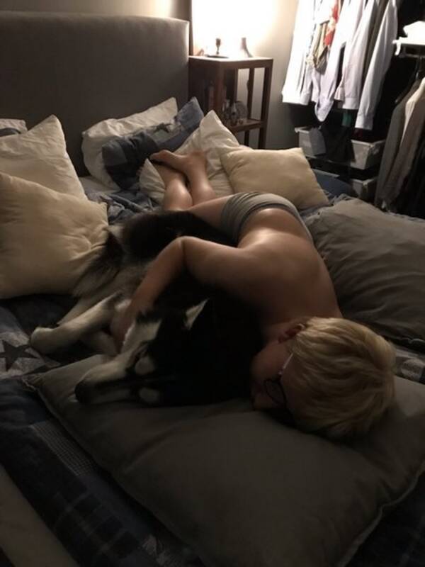 Hund