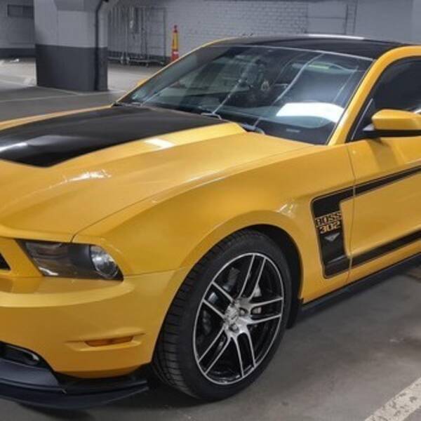 Fordon - Ford Mustang Boss 302