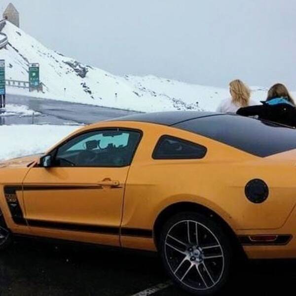 Fordon - Ford Mustang Boss 302