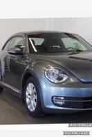 The Beetle The Beetle