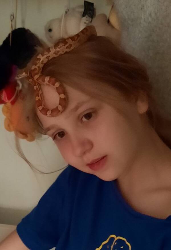 Övrigt - Ormen Wild