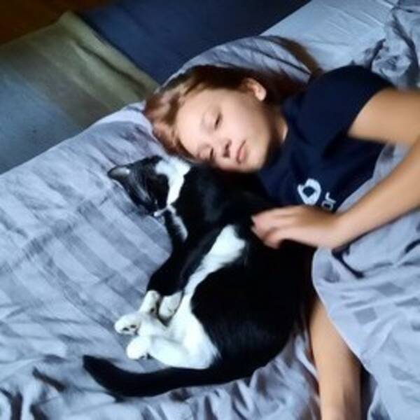 Katt - Nyfiken katt Stella