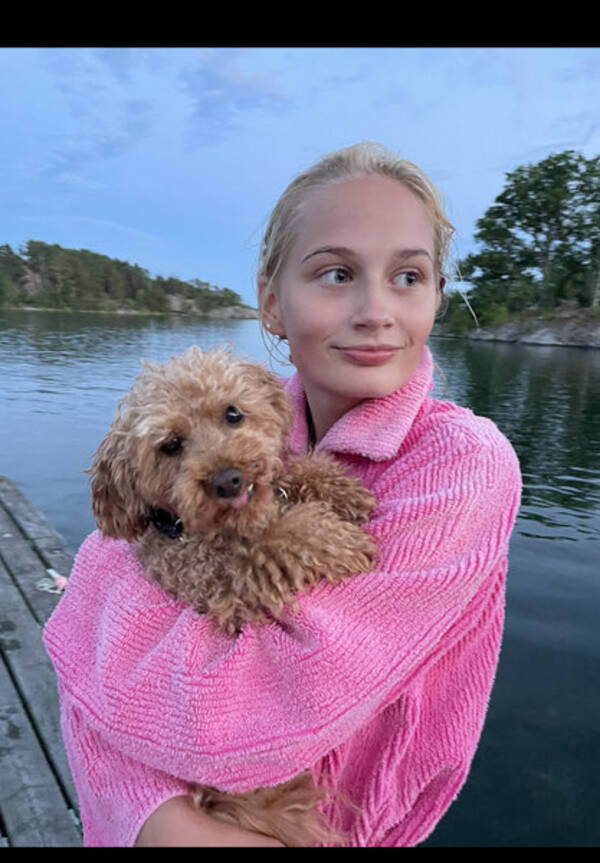 Hund - DvärgPudel - Frasse