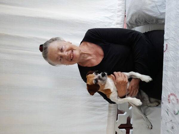 Hund - Blandrasen Misty 