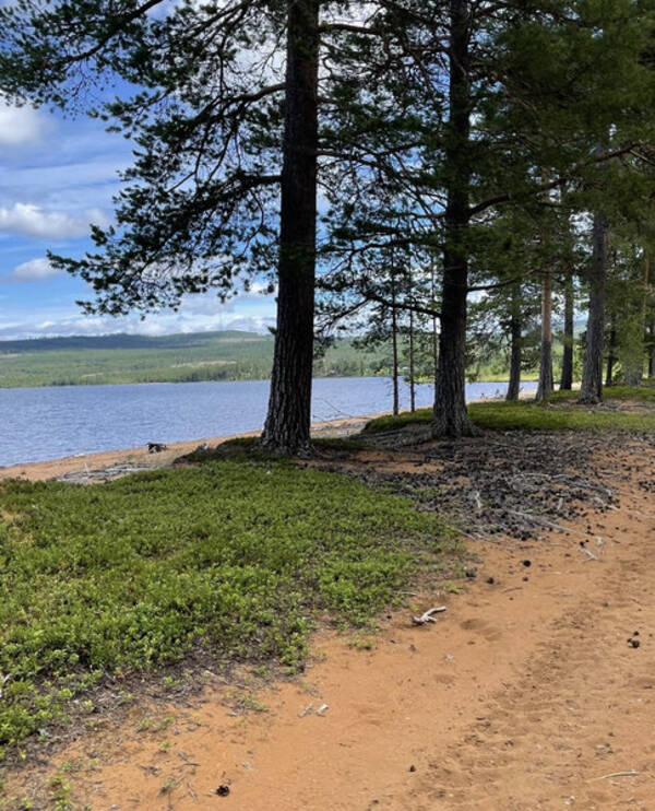 Sommarstuga - Sommarstuga vid stranden i Hrjedalen 