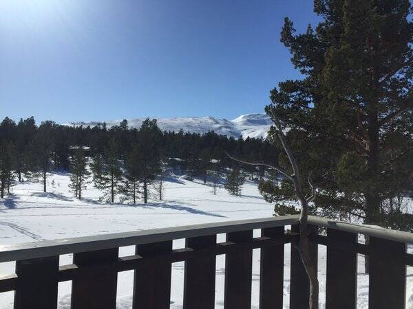 Hytte - Tømmerhytte ved Lemonsjøen i Vågå Hytte - Tømmerhytte ved Lemonsjøen i Vågå