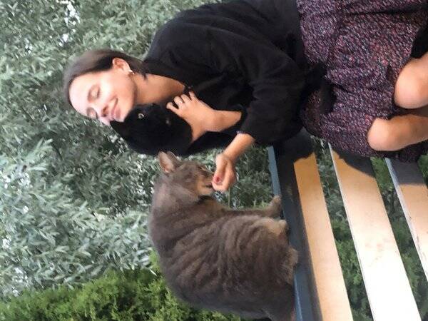 Katt