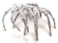 Anatomisk tekstilkunst Anatomisk tekstilkunst