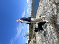 Tibetansk Terrier Luka