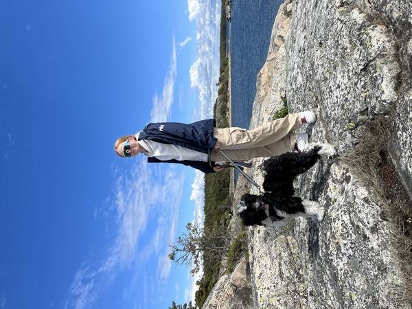 Hund - Tibetansk Terrier Luka