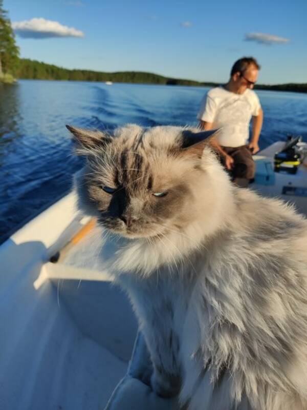 Katt - Orlando
