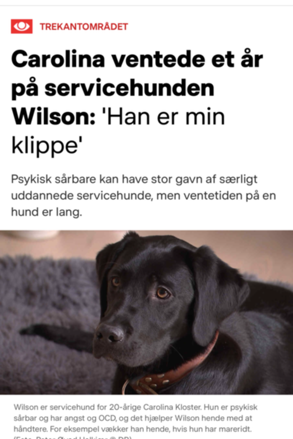 Hund - Wilson Hund - Wilson
