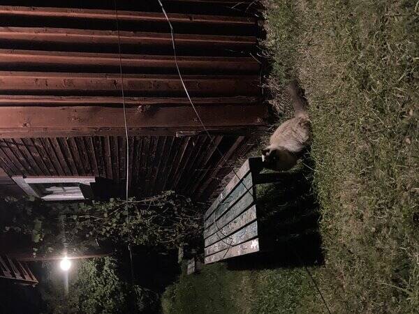 Hus - Liten lantgrd i Srmland 