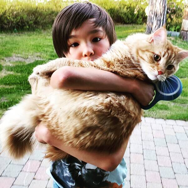 Katt