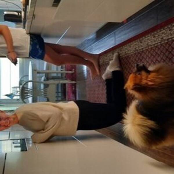 Lgenhet - Lgenhet, Torslanda 