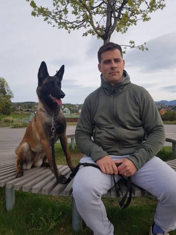 Hund - Beligian Malinois