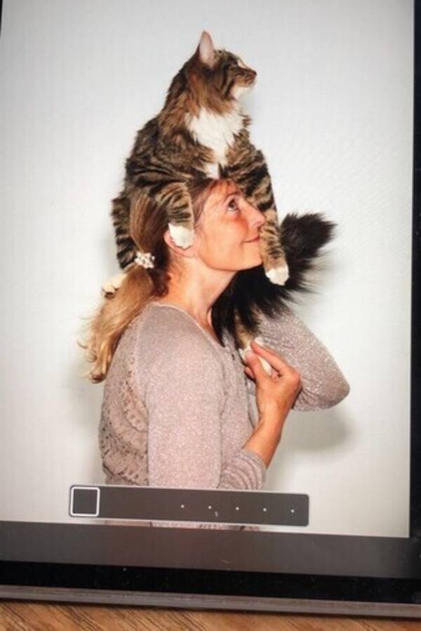 Katt - Katt, Lille Bror