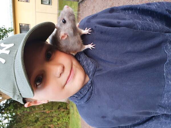 Övrigt - Råttan Disco