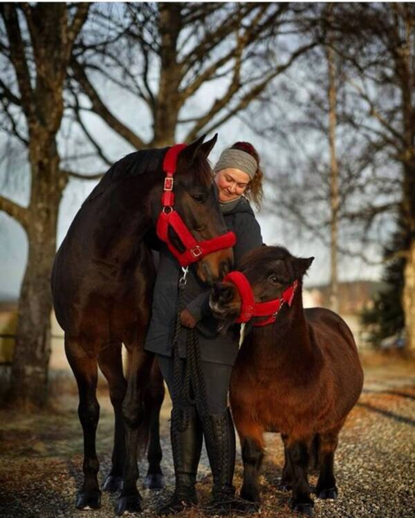 Revisitter - Hester Revisitter - Hester