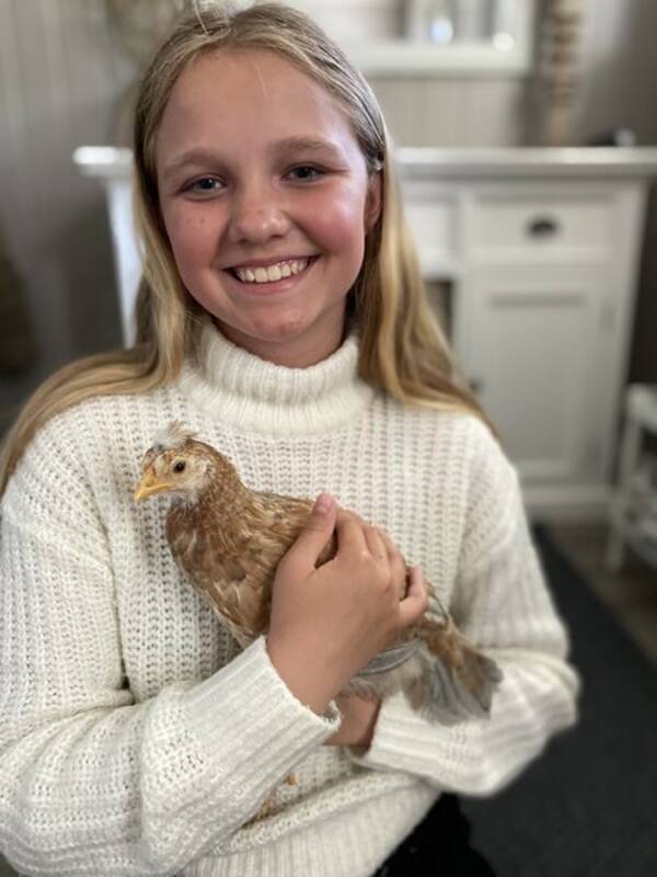 Katt - Katt Katt - Katt