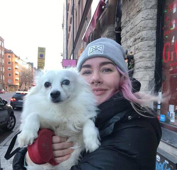 Hund - Spetsen Isa