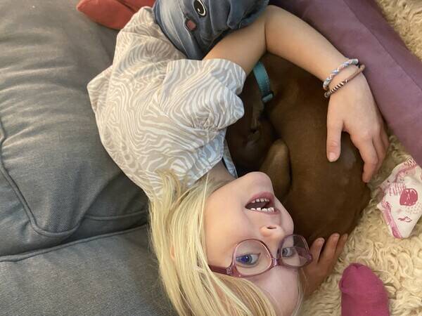 Hund - Italiensk mynde