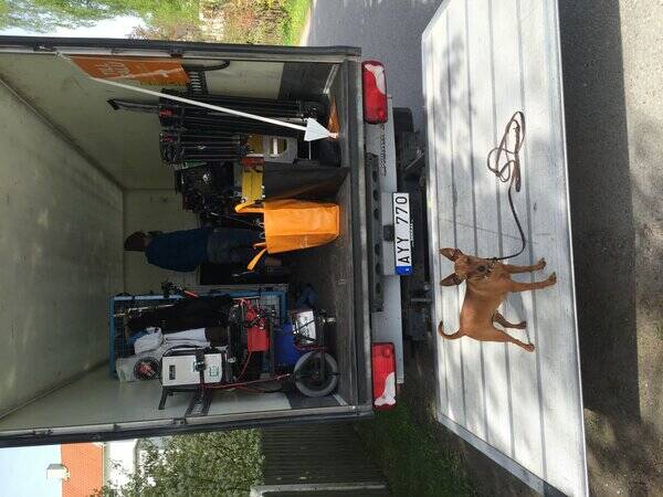 Hund - Jessie
