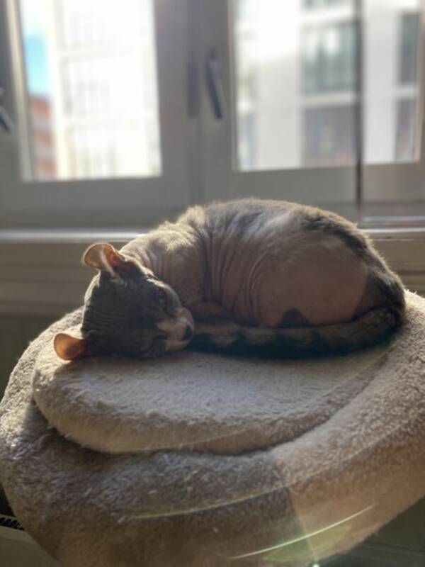 Katt - Girl