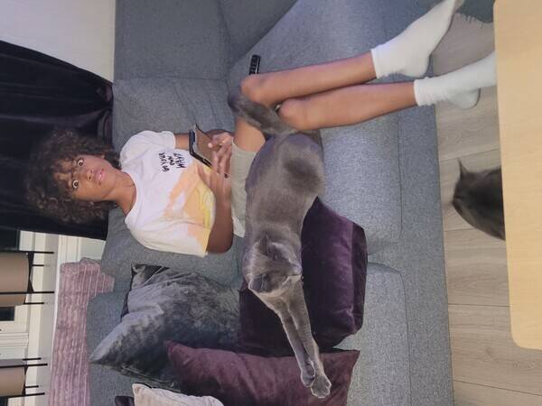 Katt - Tassen,Slvgr bengalmix