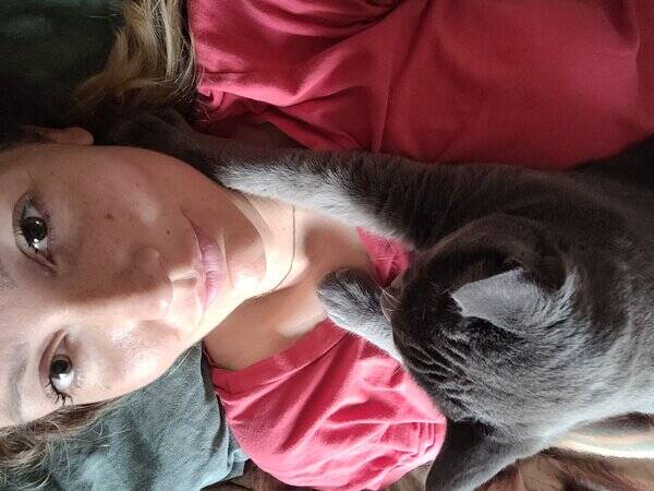 Katt - Tassen,Slvgr bengalmix