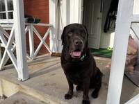 Otto 
