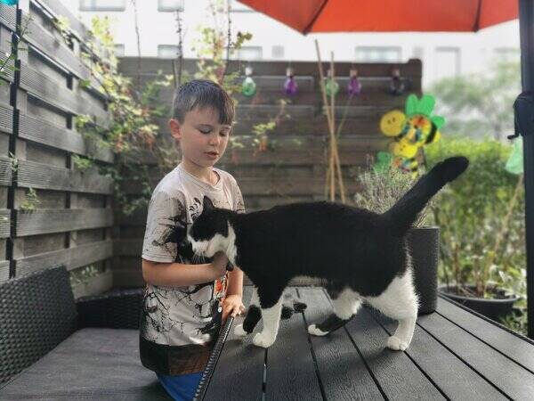 Katt - Katt Mascha