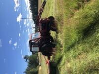 2 st gamla traktorer och en nyare finns 2 st gamla traktorer och en nyare finns