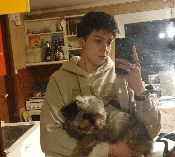 Hund - Pomeranian/shih tzu Tasha