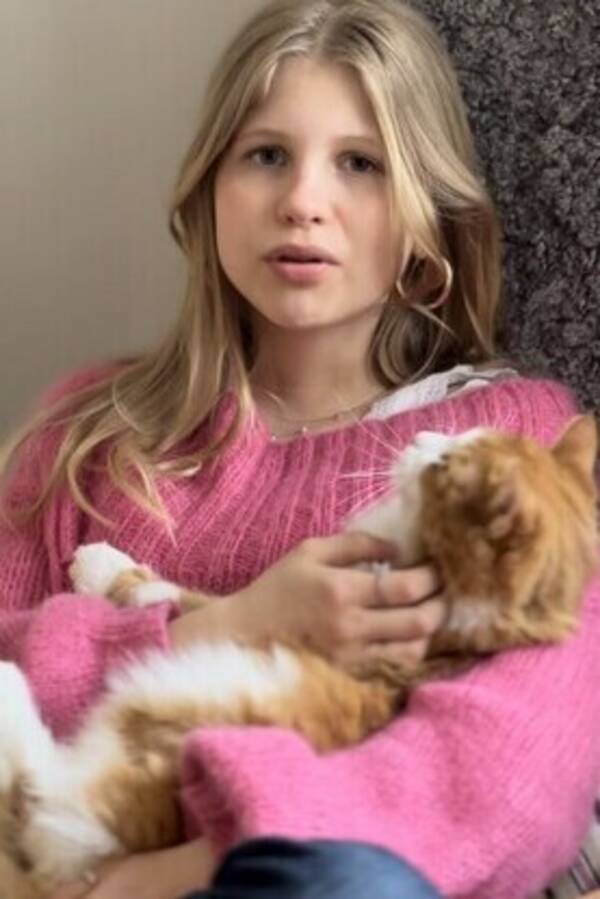 Katt - Oransje jente Katt - Oransje jente