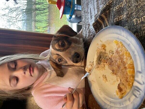 Hund - Olivia Newton-John Hund - Olivia Newton-John